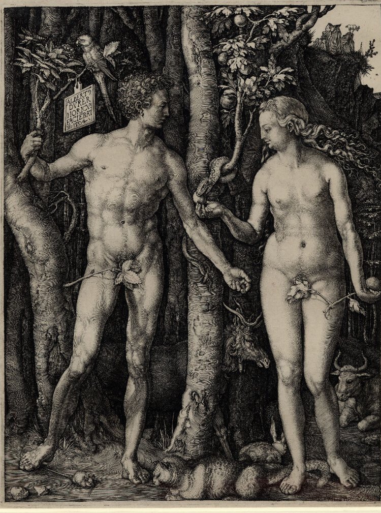 Albrecht Dürer engraving of Adam and Eve beside the Tree of Knowledge